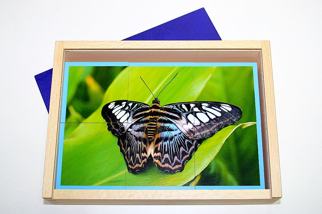 Puzzle Papillon (Schmetterling) Puzzle Papillon (Schmetterling)