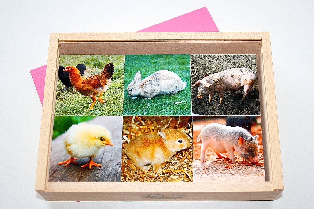 Mutter-Kind-Memo Mutter-Kind-Memo