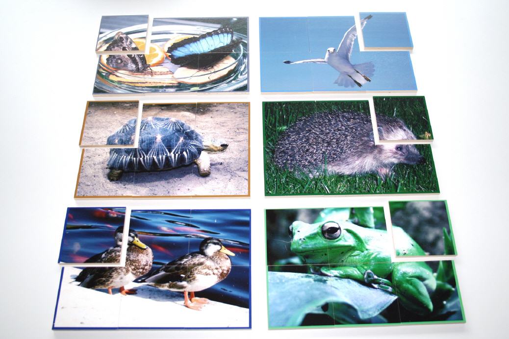 Tierpuzzle