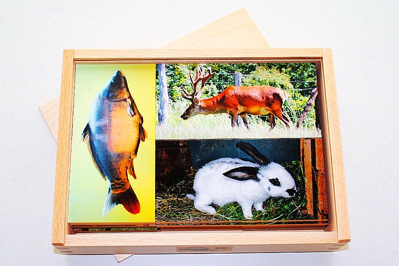 Halbe Tiere Halbe Tiere