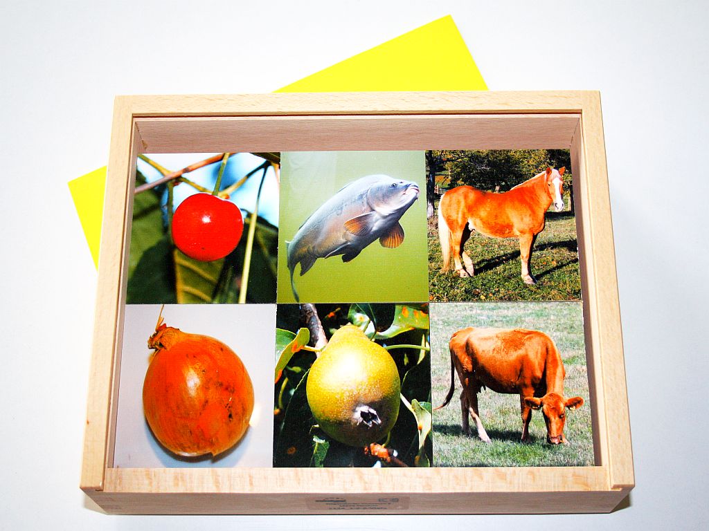 1-2-3-Viele 1-2-3-Viele