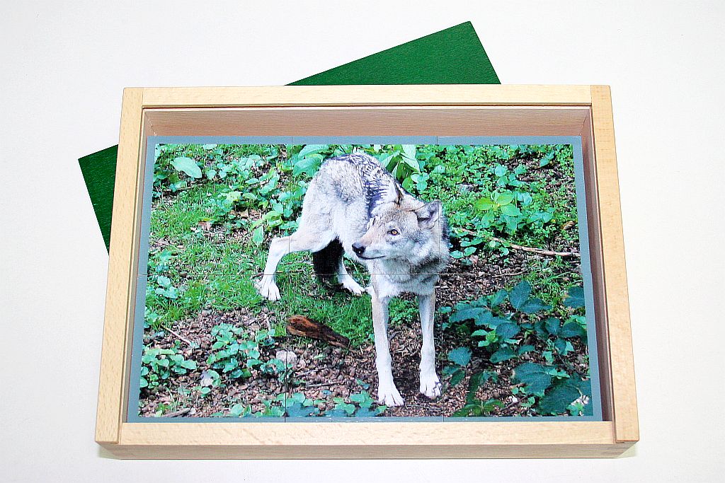 Lotto Waldtiere Lotto Waldtiere