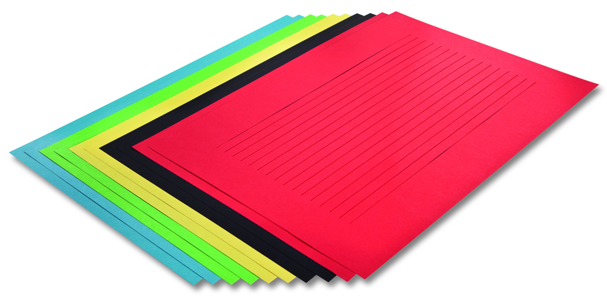 Riesenflechtblätter