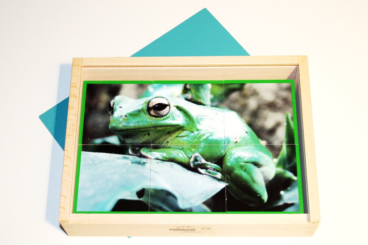 TierPuzzle TierPuzzle